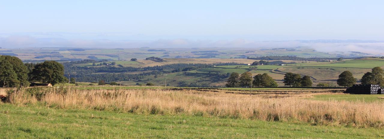 High Keenley Fell Farm Allendale Exterior foto