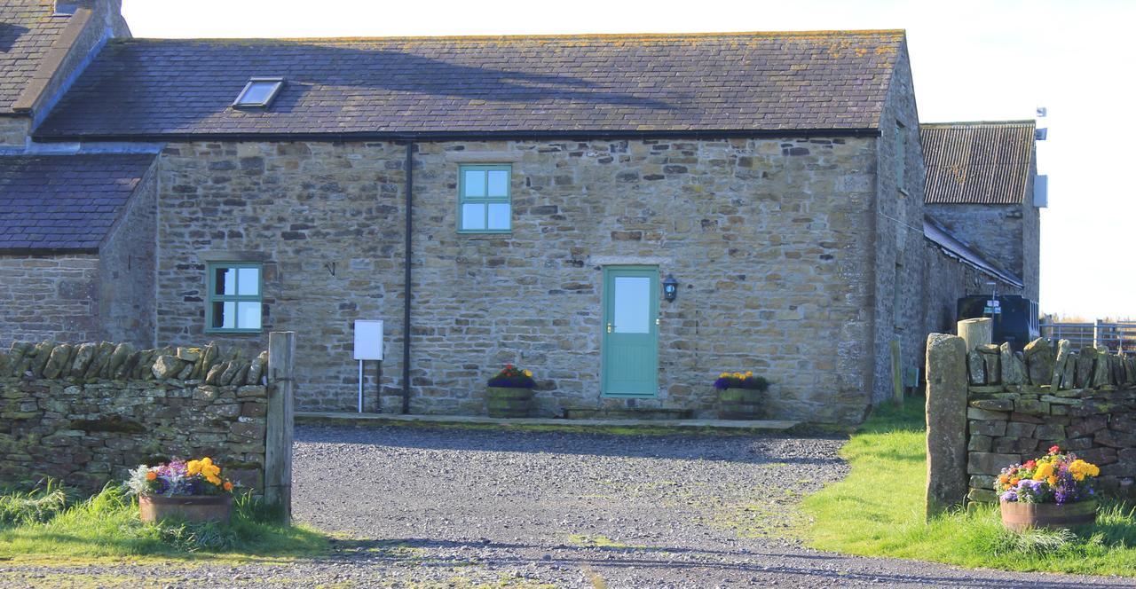High Keenley Fell Farm Allendale Exterior foto